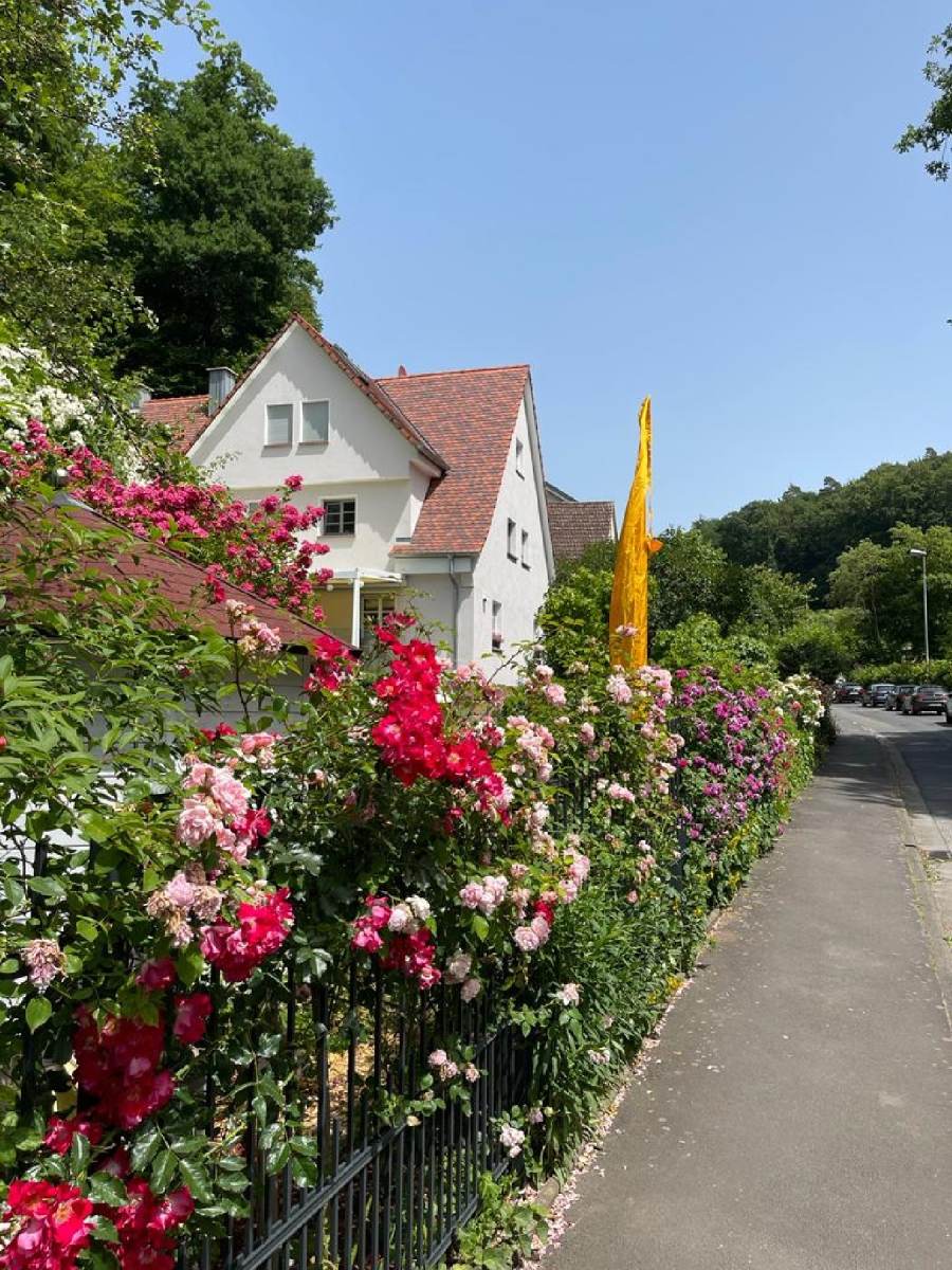 07_Geiger-Barth_Marburg_1_1800
