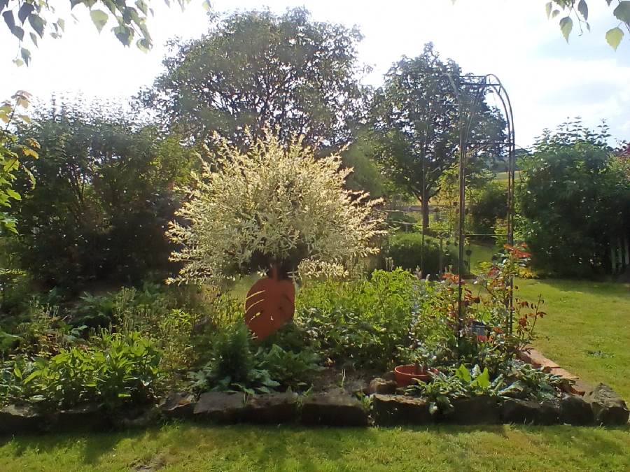 11_Lemmer_Ebsdorf_5_1800
