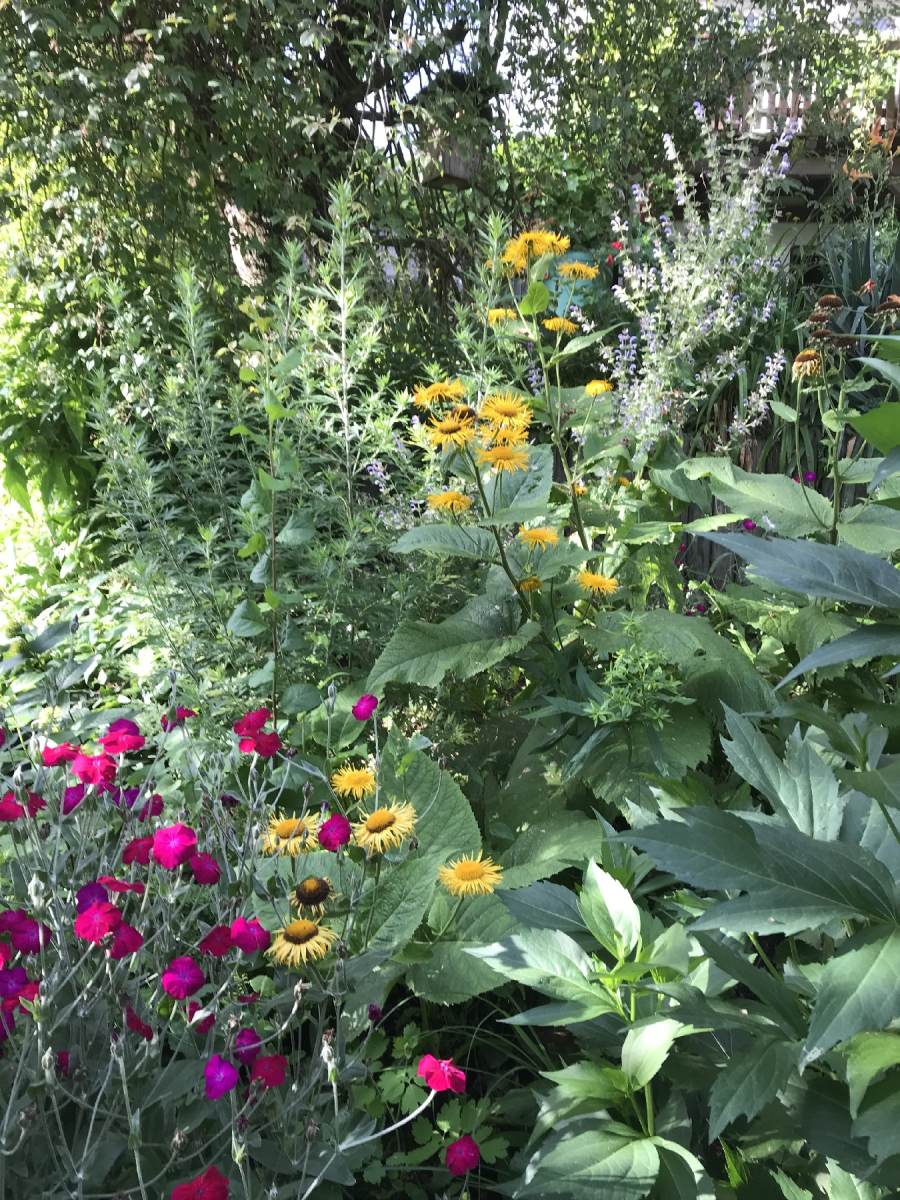 01_Scharnagel_Lohra2_2_1800