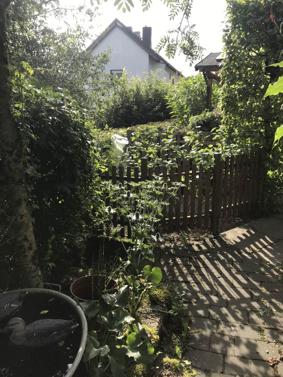 01_Scharnagell_Lohra_3_1800