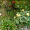 11_05_Schaumann_20260210_083342_Gallery