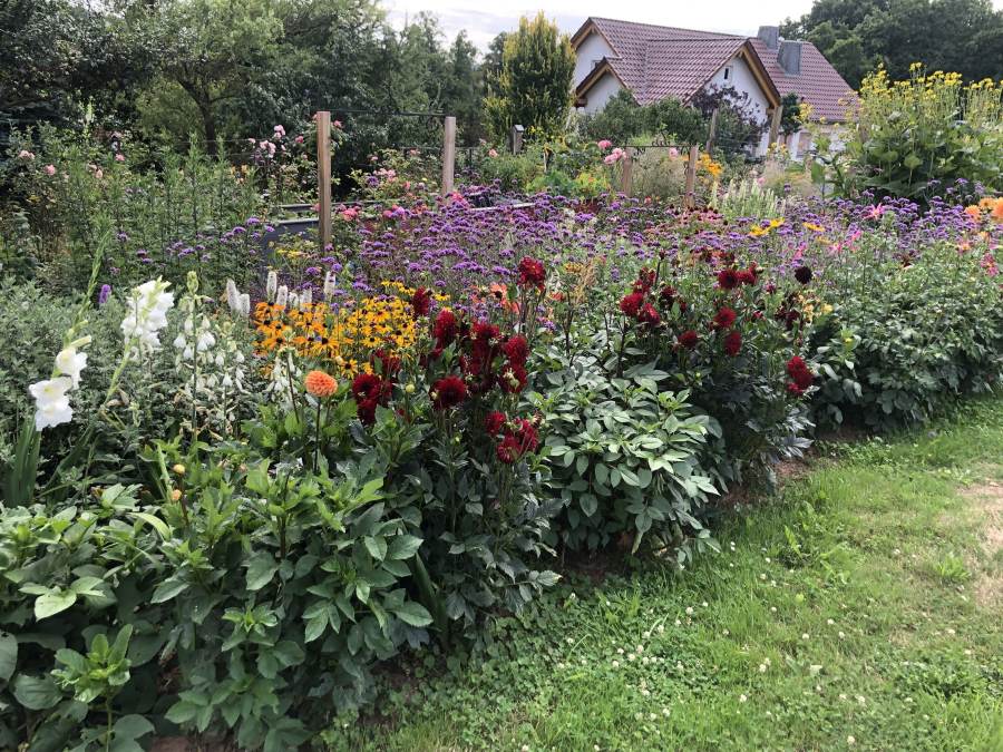 07_01_Scriba_IMG_4087_o