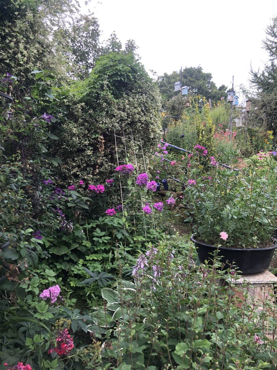 07_04_Scriba_IMG_4083_o