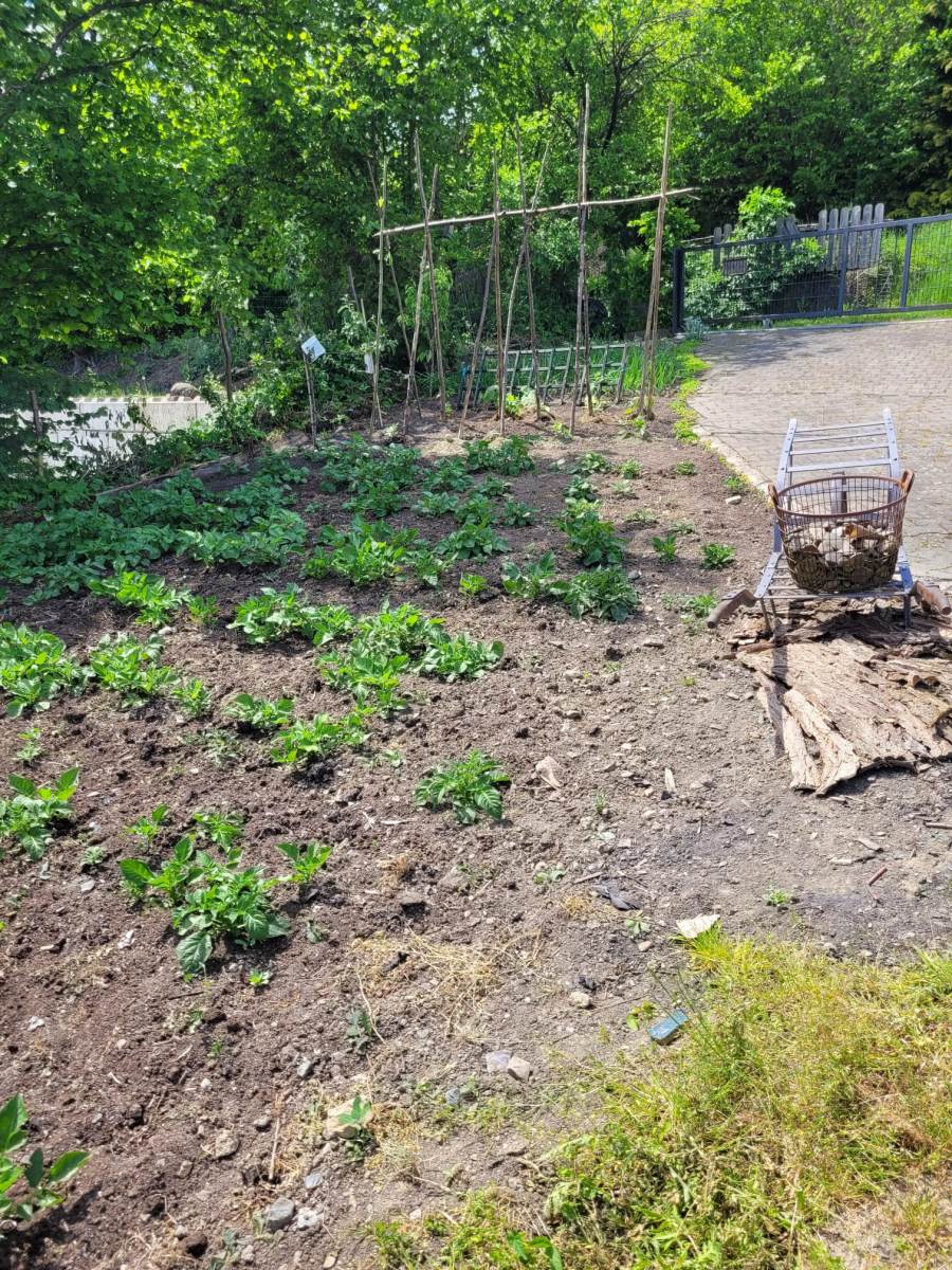 05_02_Stockfisch_12341